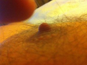IMG 0013