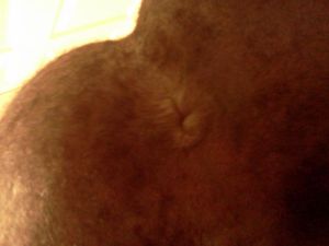 IMG 20110717 234652