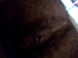 IMG 20110414 193419