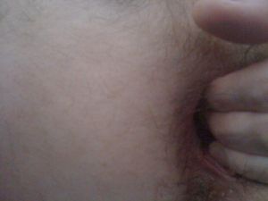 IMG 0148