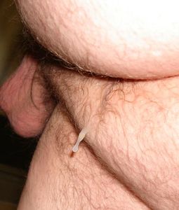Seed dripping