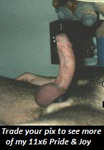 Sample of my dick size which I use for breeding young studs.
