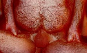 Breeding our first boi