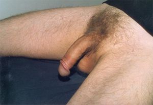 7477