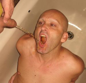 piss pig ..... need more drinking