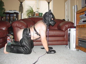 In position!!