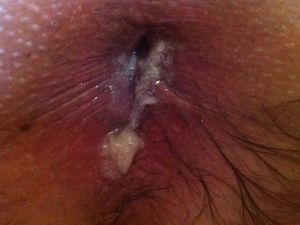 IMG 1204