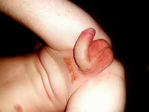 my cock :P