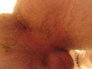 IMG 0210