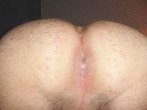 SpringfieldPics004