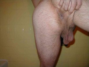 ass