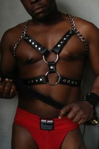harness