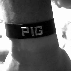pig