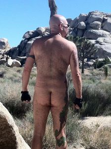 IMG 1677