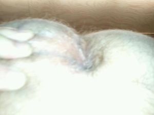 1rps20120525 090520