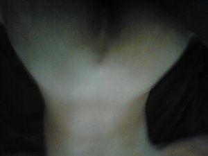 IMG 0186