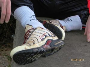 IMG 1399 o WZ