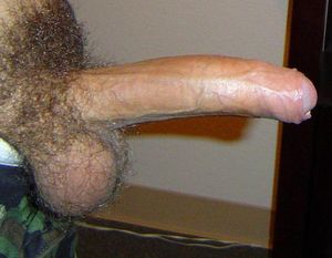 cckshot