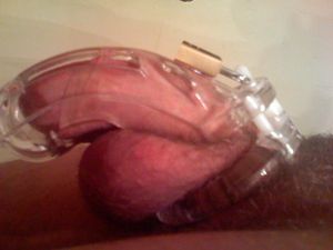neg bttm, locked in chastity 6 months in the curve.