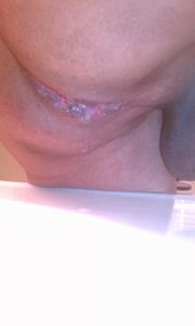IMAG0866