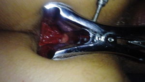 DSC00005