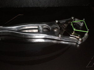 Banding 7 11 2012 003