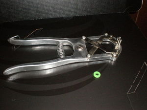 Banding 7 11 2012 001