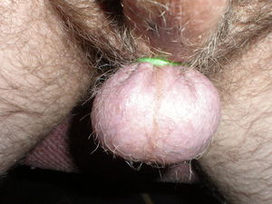 Do You Have The Balls 1 7 2012 012