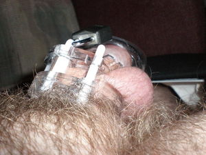Cage 2 25 2011 001