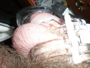 Cage 2 25 2011 002