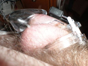 Cage 2 25 2011 003