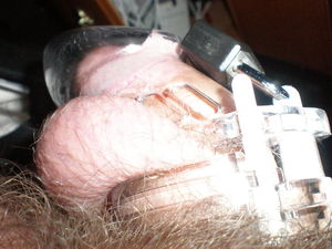 Cage 2 25 2011 007