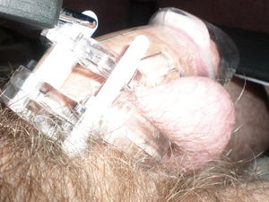 Cage 2 25 2011 008