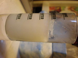 cumsickle4 14 2009 005