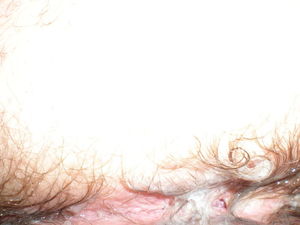 cumsickle4 14 2009 031