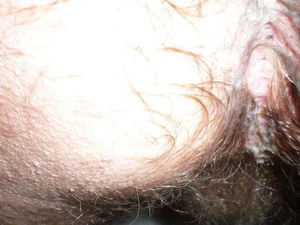 cumsickle4 14 2009 032
