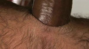 mf