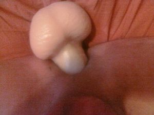 CIMG0413