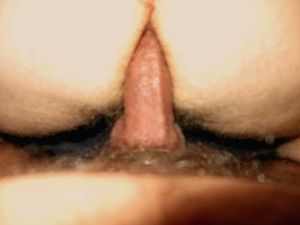 PA 2