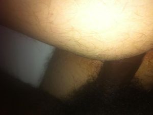 photo4