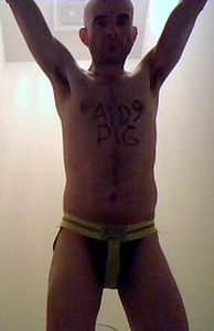 aids Pig