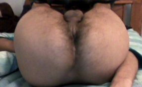 ass