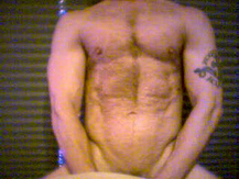 upper torso