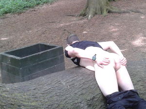 HampsteadHeath fucktree small