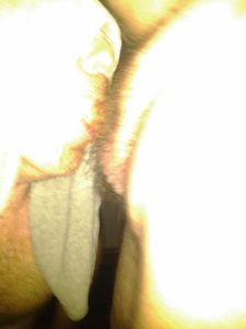 IMG 20130620 184420