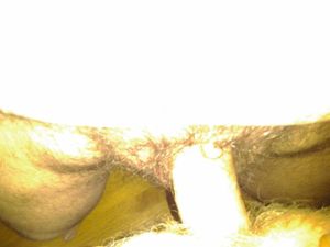 IMG 20130620 184723
