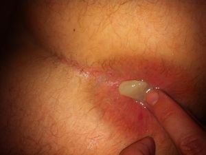 IMG 9701