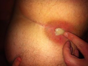 IMG 0790