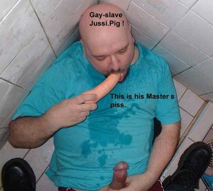 pigjussi