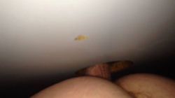 My slut ass taking a strangers load at the gloryhole.